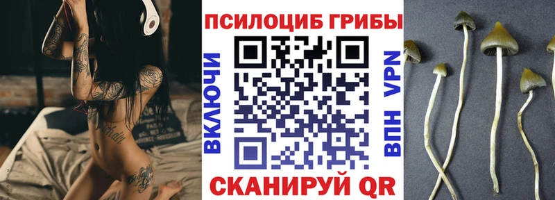 Псилоцибиновые грибы мицелий  Новоуральск 
